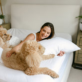 Hypoallergenic 2-Pack Pillow Protectors