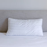 Pillow & Protector Bundle