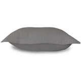Graphite