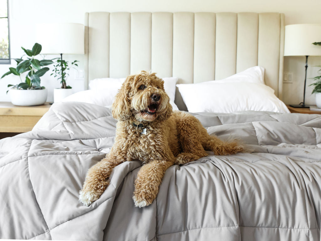 Duvets vs. Coverlets: What's the Difference, and Which One Is Right for You?