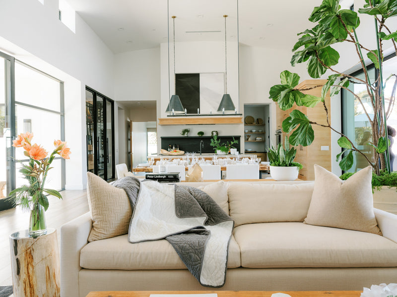 How Healthy Is Your Home Environment?