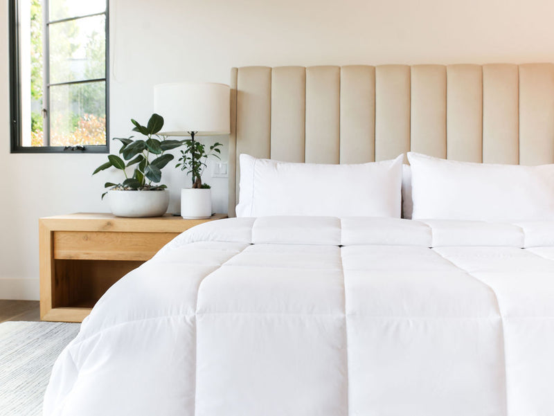 Who Says You Can't Wear White After Labor Day?