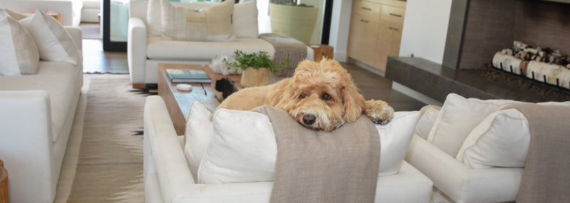 4 Simple Tips for Keeping Your Home Tidy
