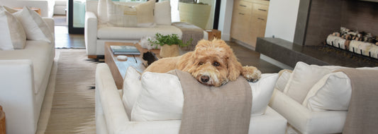 4 Simple Tips for Keeping Your Home Tidy