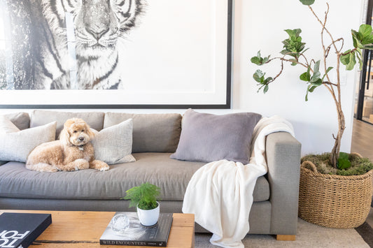 Introducing Our Dreamy New Cloud Blanket and Throw