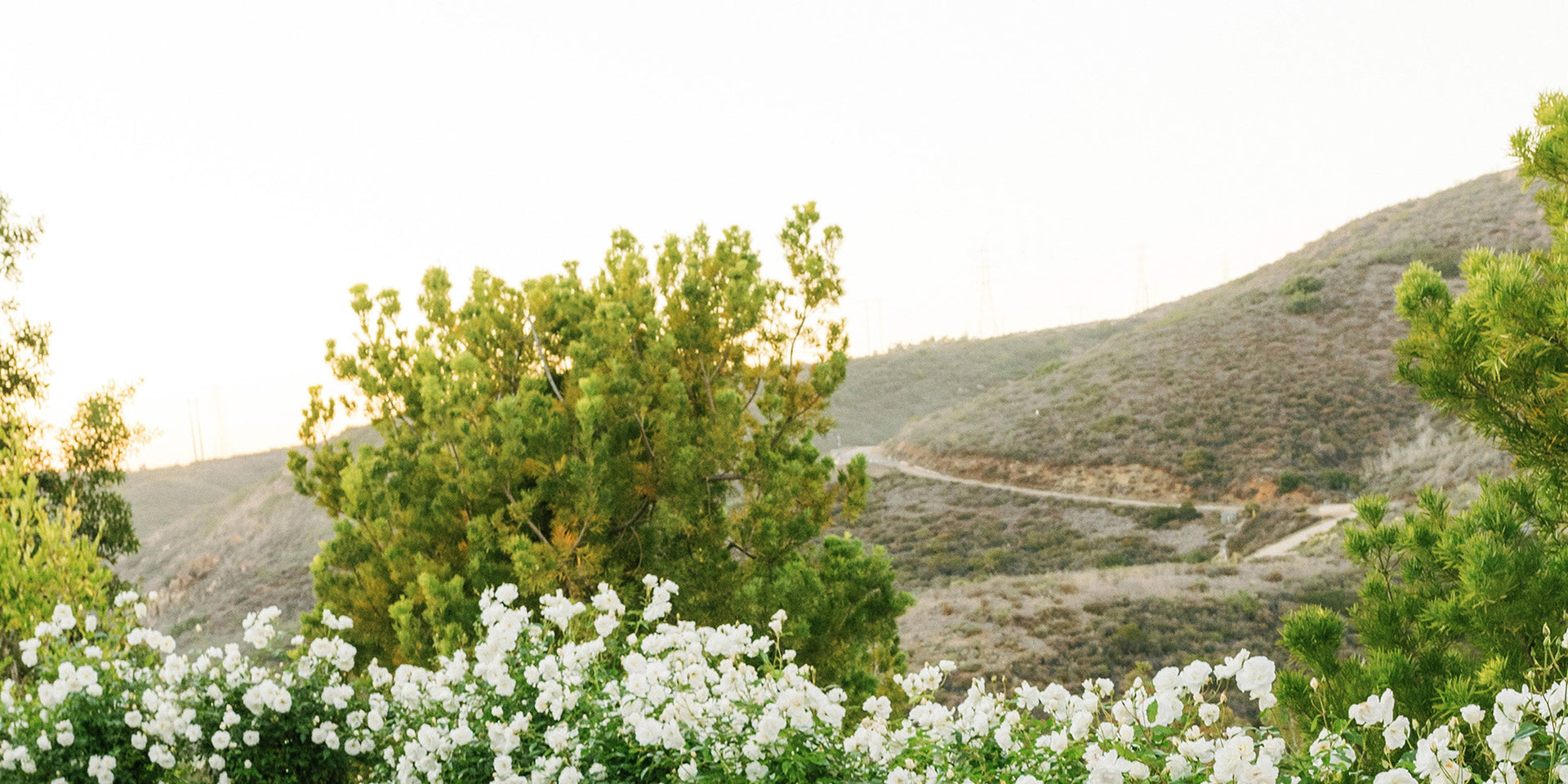 Spring Into Savings