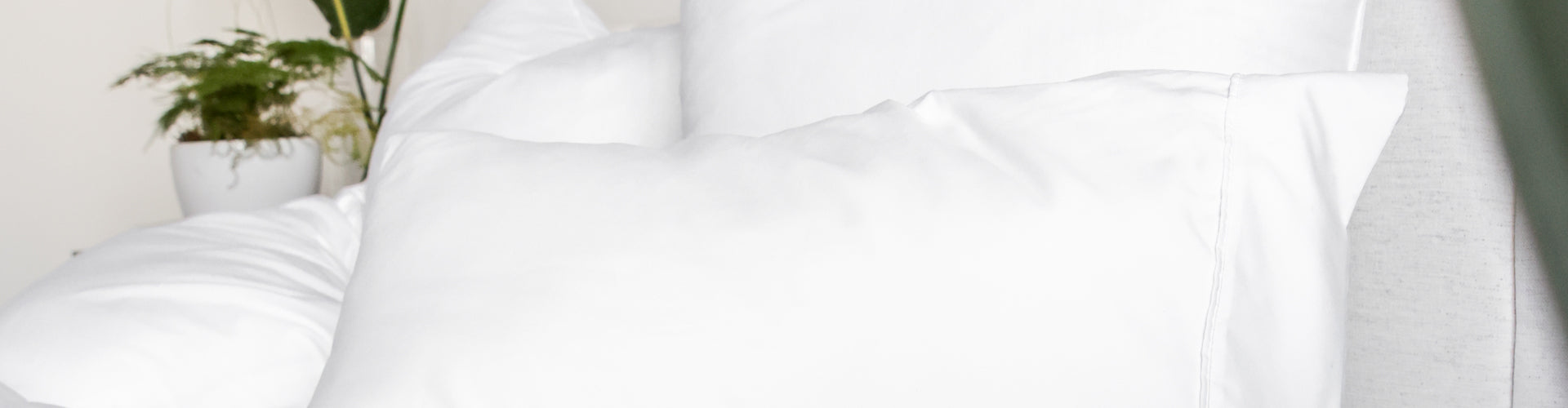 Hospitality Trade Program