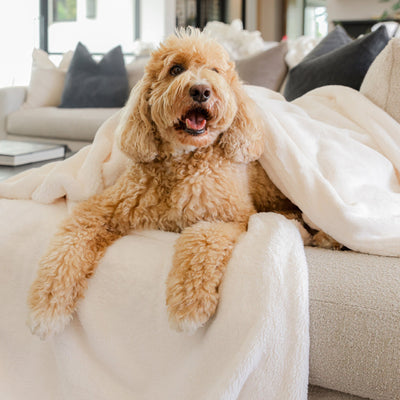 Cloud-soft essentials