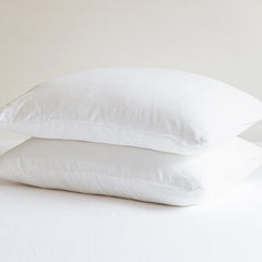Pillow & Protector Bundle