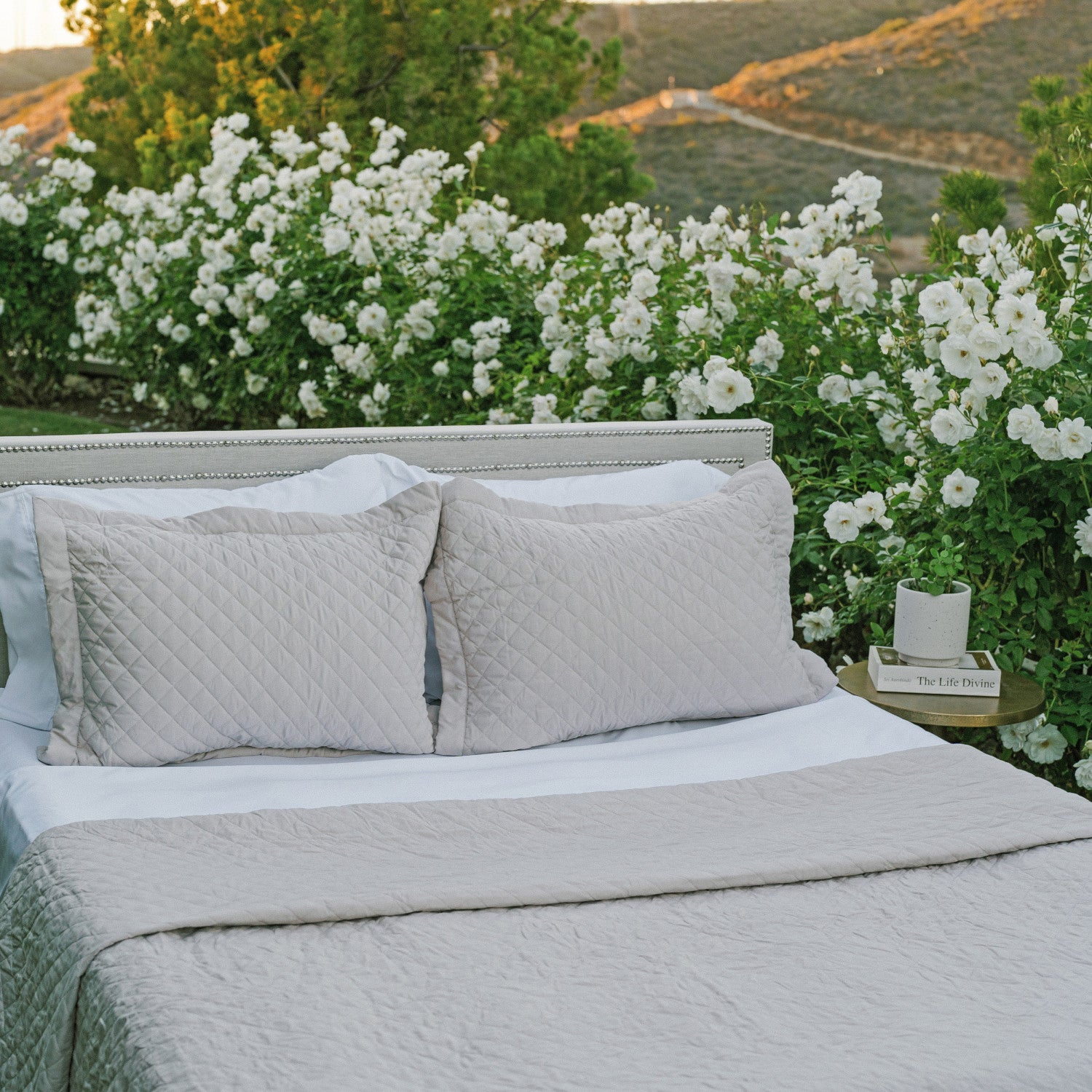 Linen