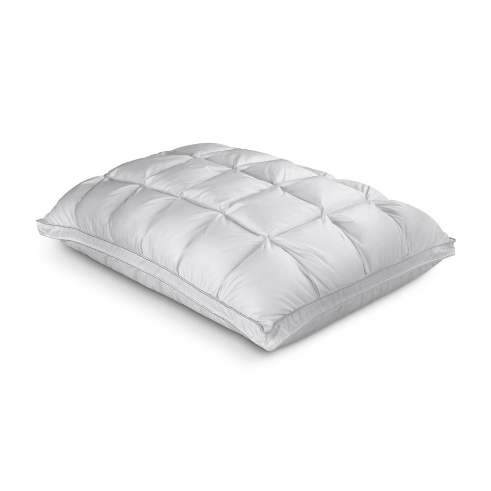 Renew Standard Pillow