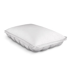 Renew Standard Pillow